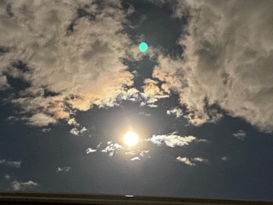 ★ドンキ♡♡ロピア雑談119★