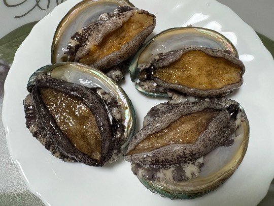 マスク同窓会詰め所兼ニューフェイス歓迎所46ヽ⁠(⁠*ﾟ⁠ｰﾟ⁠*⁠)