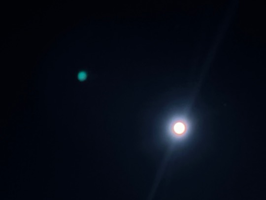 ★ドンキ♡♡ロピア雑談119★