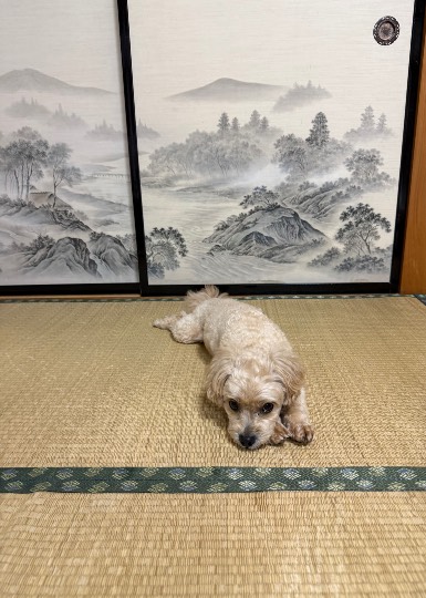 生き物ルーム75