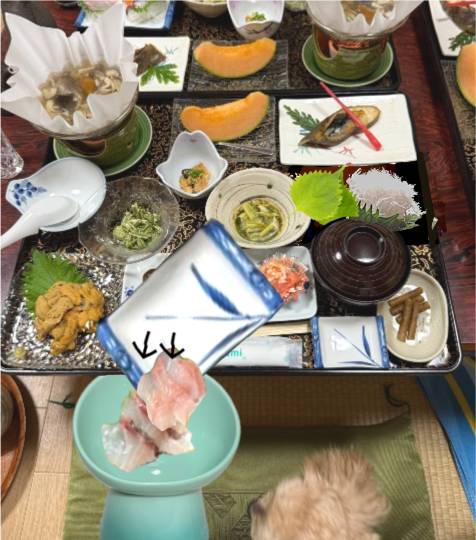 雑談お絵描き部・コラージュ部・素材提供部　No.20