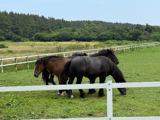 雑談お絵描き部・コラージュ部・素材提供部　No.20