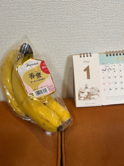 【妄想鼻血トピ】萌えドラマを語ろう会 29