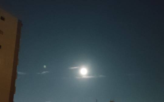 ★ドンキ♡♡ロピア雑談119★