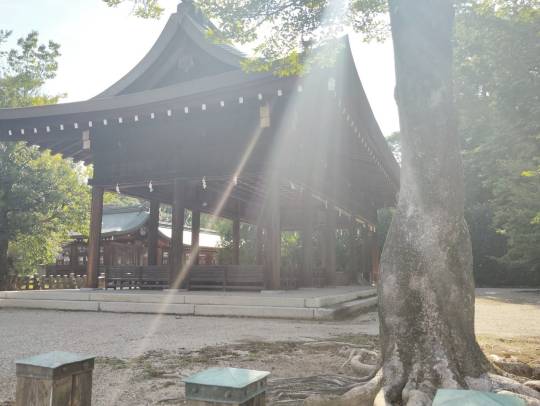 ★ドンキ♡♡ロピア雑談119★