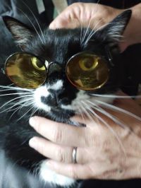 7月2日(水曜日) 　広島倉庫店｜今日も暑いですネ！(+_+)ｱｯﾂｰ
...