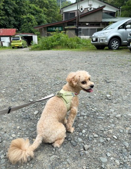 生き物ルーム75