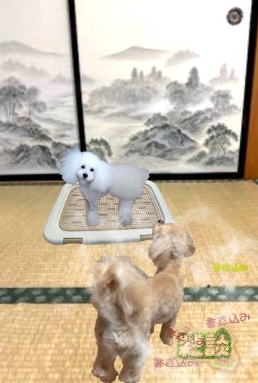 生き物ルーム75