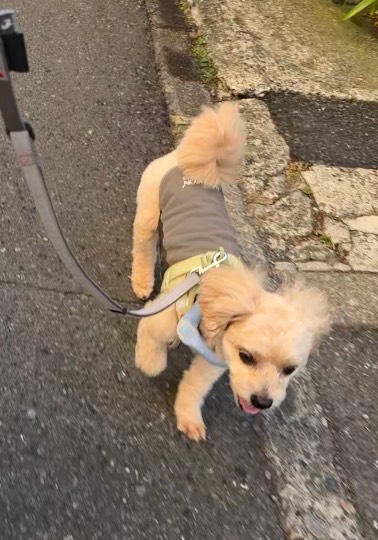 生き物ルーム75