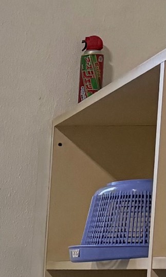 生き物ルーム75