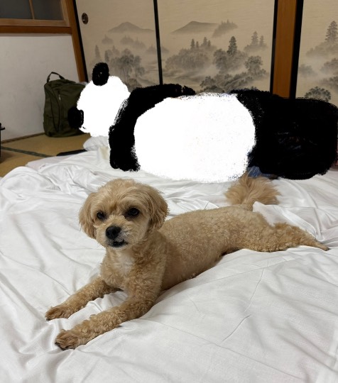 生き物ルーム75