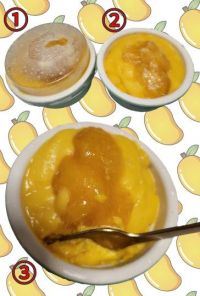 マンゴープリンをバエるマンゴーアイスに