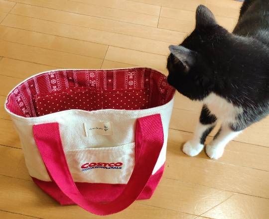 コストコキャンバストート(小)