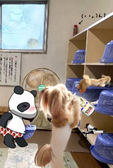 生き物ルーム75