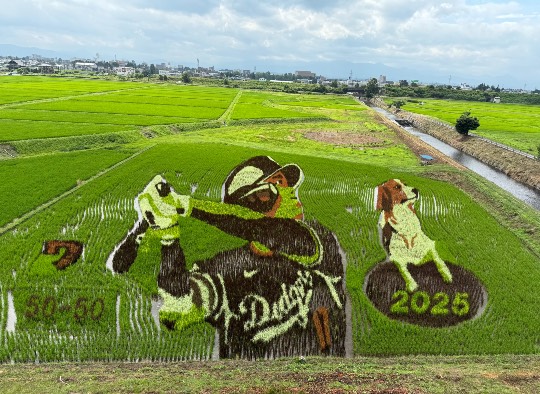 雑談お絵描き部・コラージュ部・素材提供部　No.20