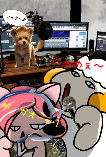 生き物ルーム75