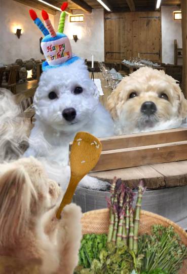 生き物ルーム75