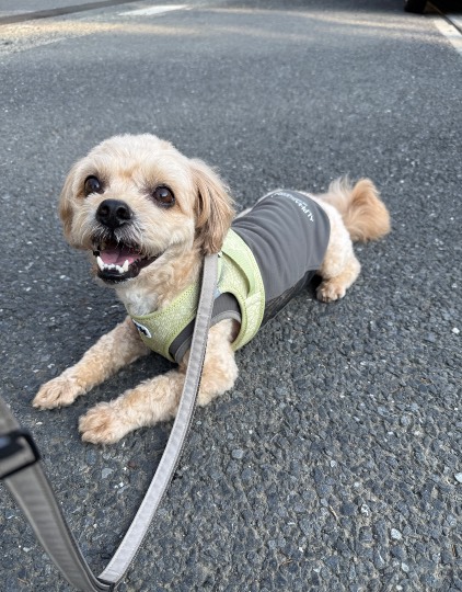 生き物ルーム75