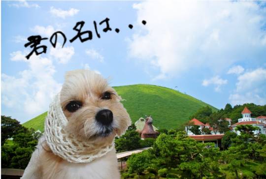 生き物ルーム75