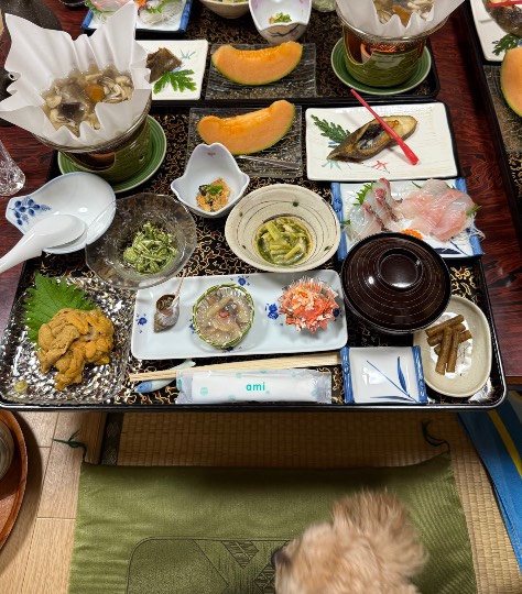 雑談お絵描き部・コラージュ部・素材提供部　No.20