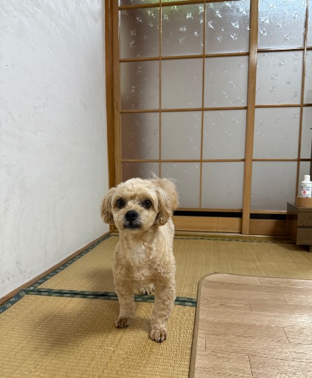 生き物ルーム75