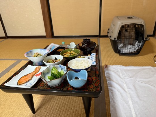 生き物ルーム75