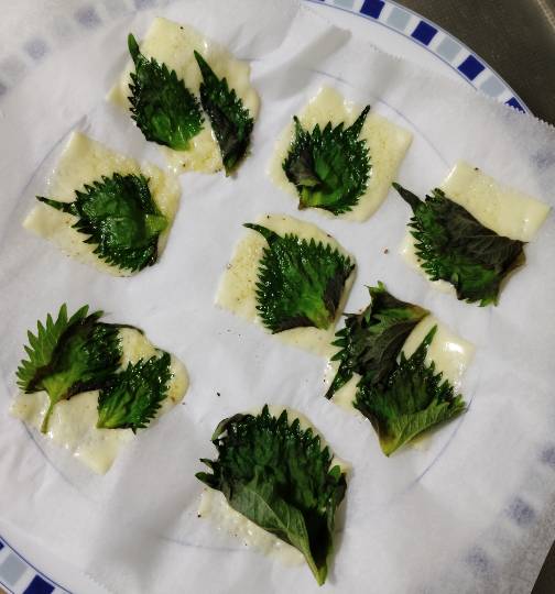 ★ドンキ♡♡ロピア雑談119★