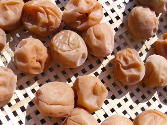 ★ドンキ♡♡ロピア雑談119★