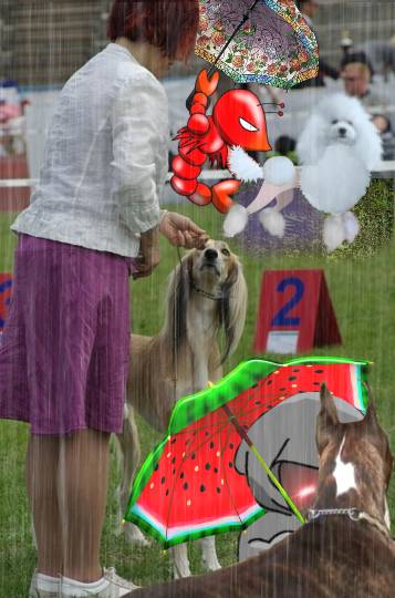 生き物ルーム75