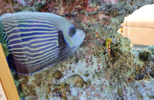 ★ドンキ♡♡ロピア雑談120★