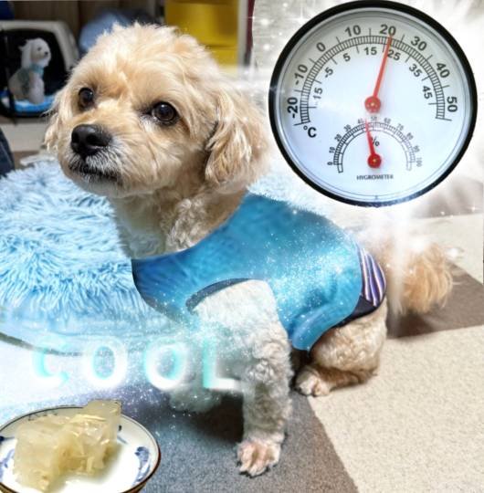 生き物ルーム75