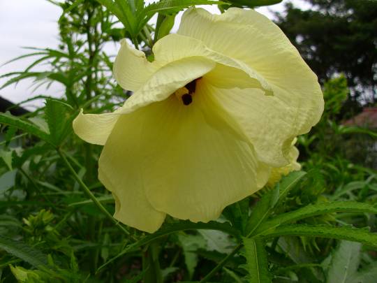 ★ドンキ♡♡ロピア雑談120★