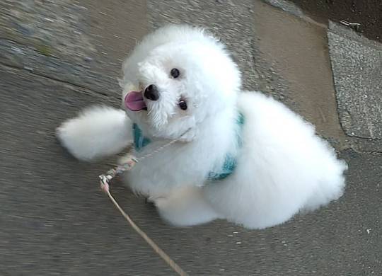 生き物ルーム75