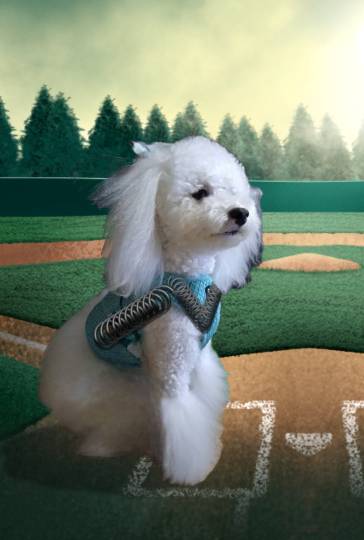 生き物ルーム75