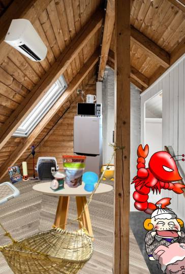 生き物ルーム75