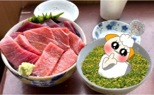 生き物ルーム75