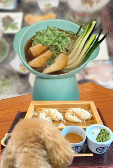 生き物ルーム75