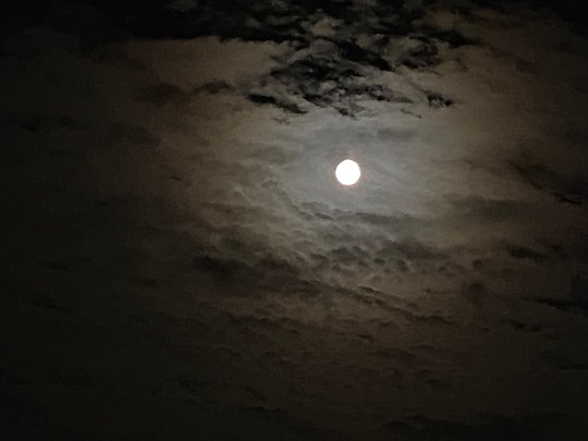 ★ドンキ♡♡ロピア雑談120★