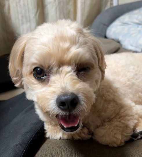 生き物ルーム75