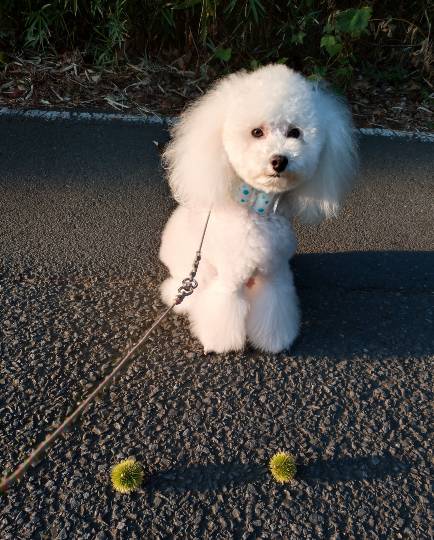 生き物ルーム75