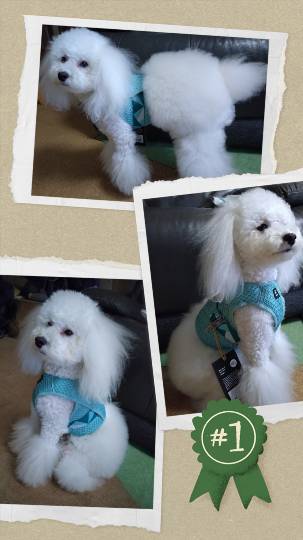 生き物ルーム75