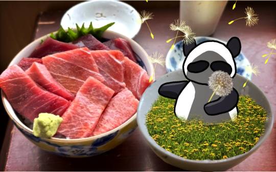 生き物ルーム75