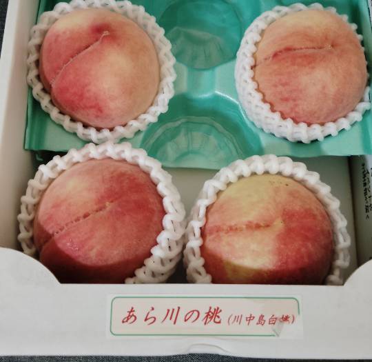 ★ドンキ♡♡ロピア雑談120★