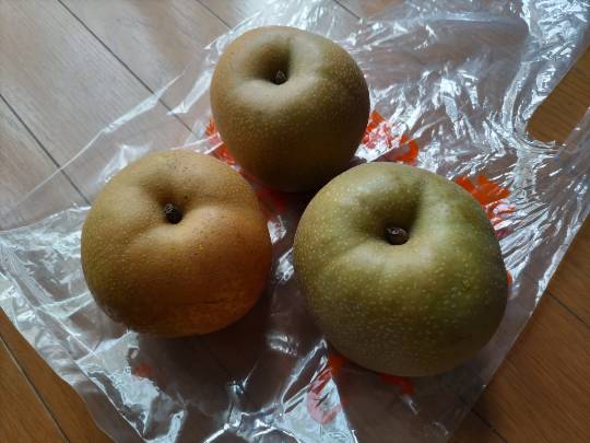 ★ドンキ♡♡ロピア雑談120★