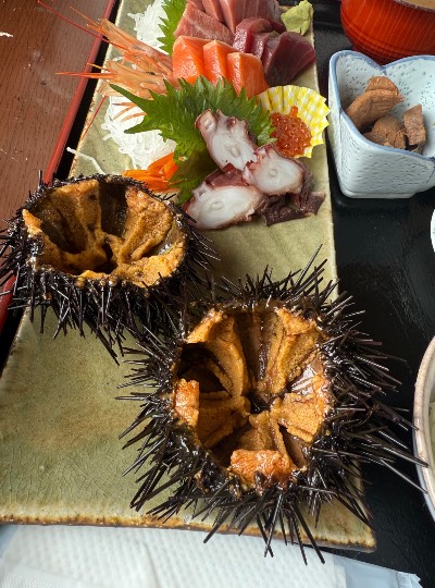 生き物ルーム75