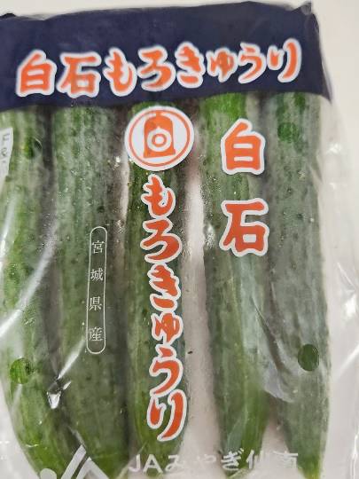 生き物ルーム75