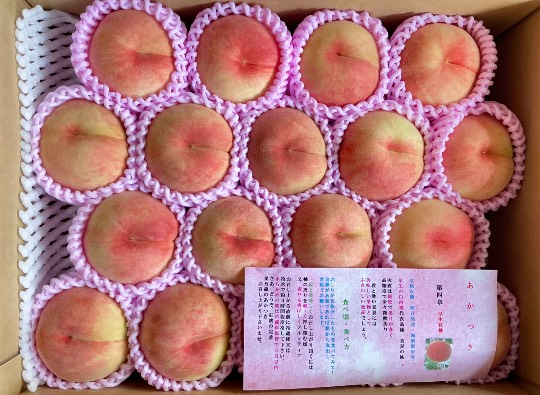 ★ドンキ♡♡ロピア雑談120★