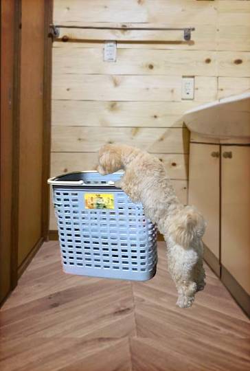 生き物ルーム75