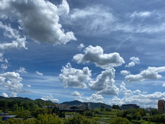 ★ドンキ♡♡ロピア雑談120★