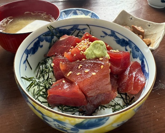 生き物ルーム75